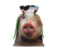 Farm Animals Printed Christmas Drawstring Bags Reusable Bag for Party Xmas Gift Wrapping, Green Ribbon, S