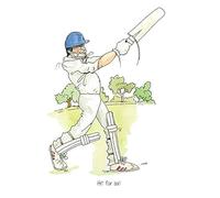 Farm Cottage Brands A5 Cricket Greeting card ‘Hit for six!' for thank you's, invitations, birthdays etc. Blank inside for your own message and supplied cellophane wrapped with an envelope (AC67)