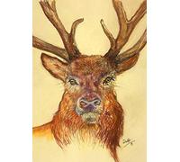 Farm Cottage Brands Red Deer Stag’s Head and Antlers Greeting Card, blank inside for your own message and supplied cellophane wrapped with an envelope thank you, invitation (FCB004)