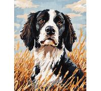 Farm Landscape Embroidery Cross Stitch Kits,Animal Dog Springer Spaniel,Counted Embroidery Needlework for Adults Beginners Kids,Christmas Gifts Wall Art,16x20in