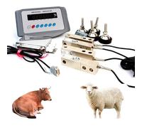 Farm Scale Weighing System, 5000kg/11023lbs Livestock Scale Kit with High Precision Indicator & 4 Load Cells, Animal Weighing Platform for Cattle, Pigs, Sheep, Goats, Alpacas(2t)