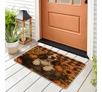Farmhouse Fall Basset Hound Dog Front Black Door Mat Outside Inside Entrance 29 * 17, Autumn Plaid Pet Outdoor Indoor Non Slip Doormat, Small Puppy Classroom Patio Garage Shoes Off Doormat