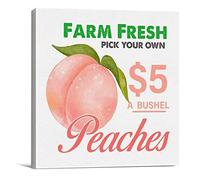 Farmhouse Farm Fresh Peaches Sign Wooden Box Sign 5x5 Inch Summer Fruit Peach Wooden Plaque Home Kitchen Decoration