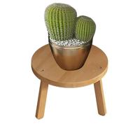 Farmhouse Plant Stand - 11.8 Inch Round Wooden Stool | Decorative Riser Pedestal | Natural Timber Stepping Base | Rustic Flower Pot Holder | Indoor Garden | Living Room Bathroom Balcony