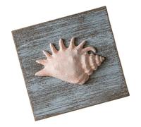 Farmhouses Coastal Wall Art Decors Seashells Starfishes 3D Wall Accent with Distressed Finish for Living Room and Bedroom Hanging Styling Coastal Decor Mediterranean Accent Beach House Decor Wood Room