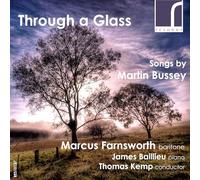 Farnsworth/Baillieu/Kemp - BUSSEY:THROUGH A GLASS