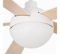 DC Ceiling Fan Izaro with LED and Remote