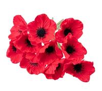 Faroby 10PCS Artificial Poppies 12in, Lifelike Red Artificial Flowers with Stems, Decorative Silk Poppies for Home Memorial Day Wedding