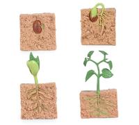 Faroby 4Pcs Life Cycle Toys for Kids, Simulated Plant Growth Process Model Seed Plant Growing Kit Educational Toy for Teaching Tool