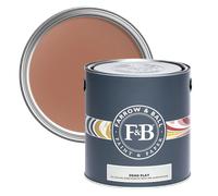 FARROW & BALL NEW DEAD FLAT 48 FOX RED 2.5L
