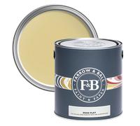FARROW & BALL NEW DEAD FLAT 72 GERVASE YELLOW 2.5L