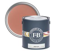 Farrow & Ball Dead Flat, 2.5L, Red Earth No. 64