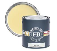 Farrow & Ball Dead Flat, 5L, Dayroom Yellow No. 233