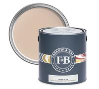 Farrow & Ball Dead Flat 5L, Setting Plaster No. 231, Ultra Matt Multi-Surface Paint