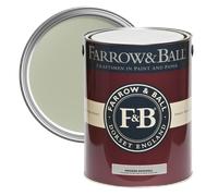 Farrow & Ball Modern Vert De Terre No.234 Eggshell Interior Metal, Plaster & Wood Paint, 750Ml
