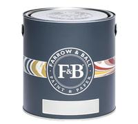 Farrow&Ball New Dead Flat 2.5L Strong White 8.8 x 3.5 inches Artificial Plant