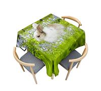 Fasbuy Square Wipe Clean Tablecloth Kitchen,3D Rabbit Pattern Table Cloth Stain Resistant Party Tablecloth Spill-Proof Dust-Proof Elegant Table Cloth for Dinner, 4 Clip (Green Grass,100x100cm)
