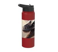 Fascinating Dinosaurs Insights into the primeval World Stainless Steel Insulated Water Bottle