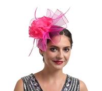 Fascinator for Women Fascinators Mesh Ribbons Feathers on a Headband and Forked Clip Cocktail Tea Party Headwear Girls Flower Wedding Races Facinator Net Hat Hot Pink Fascinators