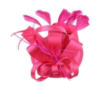 Fascinator Hat Europe And The United States Bride Mesh Bridal Party Prom Season Hair Accessories Hair Clips Hair Bands Tea Party Rave Festival Dance (One Size)