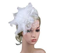 Fascinator Hats Small Fascinators for Weddings Weddings, Elegant and Charming Lace Feather Wedding Hat Clip, Hair Garden Tea Birthday Party Women Brooch Clip Royal Ascot Race A Fascinator