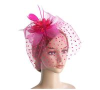 Fascinator Headband Hair for Weddings, Elegant and Charming Lace Feather Wedding Hat Clip, Garden Tea Birthday Party Fascinators Weddings, with & Mother Of the Bride