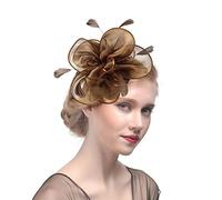 Fascinator Mesh Net Veil Headband Flower Ribbons Party Hat Ascot Feather Headpiece Hairband Feather Hair Band Pillbox Fascinator Party Headwear for Women Girls