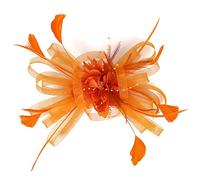 Fascinator Top Hat on Headband for Women Wedding Ascot Races Loop Vintage Mesh Pearl Hair Clip Tea Party Wedding Cocktail Kentucky Derby
