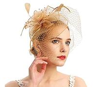 Fascinators for Weddings Fascinators for Women Fascinator Veil Hat Feather Flower Mesh Net Veil Headpiece Ladies Wedding Party Costume Headwear Fancy Dress Hair Accessories Cocktail Party Race