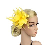 Fascinators for Weddings Fascinators for Women Women Fascinator Hat Mesh Flower Feather Veil Pillbox Hat Wedding Bridal Headdress Cocktail Tea Hair Accessories with Clip Fit Church Banquet Dance