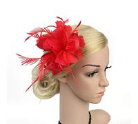 Fascinators for Weddings Fascinators for Women Women Fascinator Hat Mesh Flower Feather Veil Pillbox Hat Wedding Bridal Headdress Cocktail Tea Hair Accessories with Clip Fit Church Banquet Dance