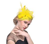 Fascinators for Women, Fascinator Hat, Fascinators for Weddings, Flower Mesh Ribbons Feathers on a Headband and a Forked Clip Cocktail Tea Party Headwear Women Accessories