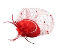 Fascinators for Women, Hats and Fascinator Weddings Mesh Ribbons Feathers on a Headband Forked Clip Cocktail Tea Party Headwear Girls Women Elegant Hat Vintage Pillbox