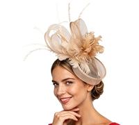 Fascinators for Women, Weddings Mesh Ribbons Feathers on a Headband and Forked Clip Cocktail Tea Party Headwear Girls Women Flower Feather Fascinator Hat Vintage Pillbox