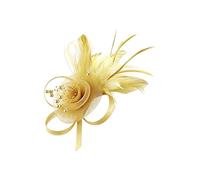 Fascinators Hat Flower Mesh Ribbons Feathers on a Headband and a Forked Clip with Feathers Cocktail Tea Party Headwear for Women and Girls