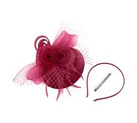 Fascinators Hat Flower Mesh Ribbons Feathers on a Headband and a Forked Clip with Feathers Cocktail Tea Party Headwear for Women and Girls