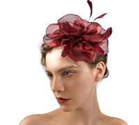 Fascinators Hat Mesh Net Veil Headband Flower Ribbons Veil Party Hat Ascot Hats Feather Headband Headpiece Hat Hairband Feather Hair Band Pillbox Hats Fascinator Party Headwear for Women