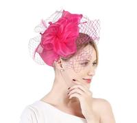 Fascinators Hat Organza Flower Feathers Fascinators on Headband Hairclips Wedding Fascinators Tea Party Headwear for Women Girls Evening Ascot Church
