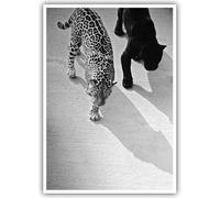 Fashion Black and White Wall Art Decor Vintage Cheetah and Jaguar Walking Print Posters 1950s Retro Leopard Canvas Unique Animal Picture for Bar Cart Dorm Living Room Home Decoration 12x16in Unframed