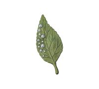 Fashion Charm Brooch Pin Fashionable Plant Beautiful Badge Alloy Texture Perfect for Daily Wear or Gift The Vintage Plant Gives, one size, As described