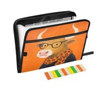 Fashion Cow Portrait Accordion File Organizer 13 Pockets Expandable File Folder with Labels Bill Receipt Document Holder