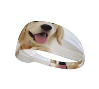 Fashion Headband for Sports - Golden Retriever Puppies Print Elastic Exercise Headband, Ideal for Yoga, Running, and More