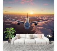 Fashion Home Decoration Wall Covering Mural 250x175cm Airplane Dusk Pattern Premium Art Print Decor Wallpaper Removable Modern 3D Non-Woven Wall Mural Photo Wallpaper