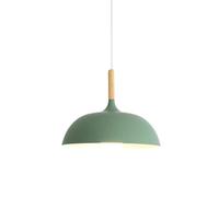 Fashion Lamp Shade Creative Lamp Shade American Industrial Decor Chandeliers Adjustable Ceiling Lamp Lighting Fixtures for Bedroom, Dining Room(Green,45CM)