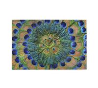 Fashion Peacock Feathers,1000 Pieces Wooden Jigsaw Family Game Jigsaw Puzzles for Adults Teens Home Decor