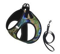 Fashion Peacock Feathers,Pet Harness,Adjustable Reflective Dog Harness,Pet Leash Vest,S