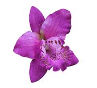 Fashion Personality Hairpin Creative Pattern Hair Lip Run Hair Bullet and Special Events Handmade Flower Hair Clip for Women Girls