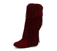 Fashion Pointed Toe Chunky Heel Fringe Knee High Boots Mid Calf Western Ankle Booties For Ladies Casual Dress Women's Thick Tassel Mid-Calf
