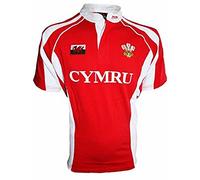 FASHION REVIEW New Origin Mens Welsh Cymru Wales Hacker Grandad Collar Rugby Casual T-Shirt TOP Small to 4XL (4XLarge, Red)
