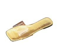 Fashion Shoes Women's Transparent Plastic Sandals with Open Toe and Square Toe Shoes Women Width H Blue, gold, 10 UK